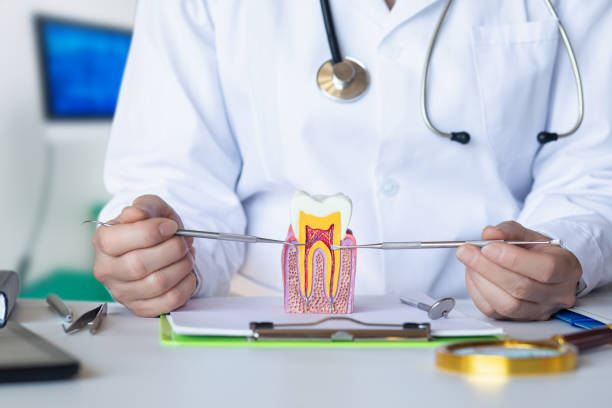 Best Walk-In Emergency Dentist in Seymour, TX